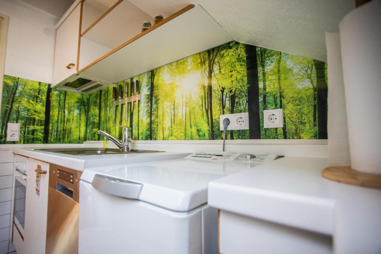 Apartamento Auszeit Im Schwarzwald Lenzkirch Exterior foto